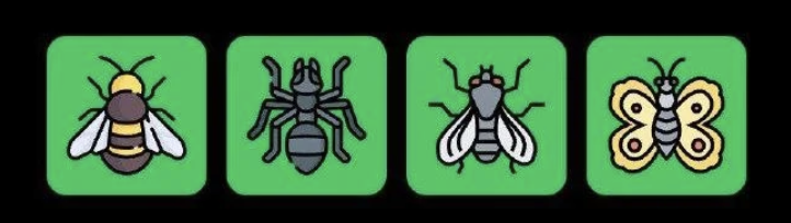 FLIES Daily Combo 13 June 2025